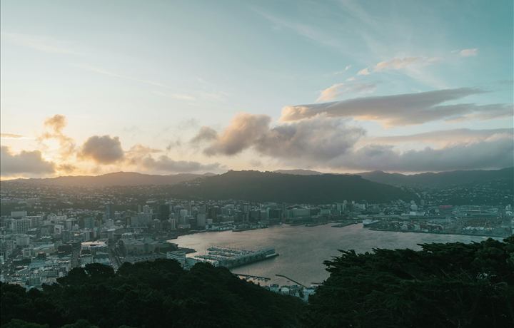 Wellington skyline